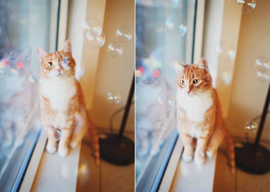 bubbles