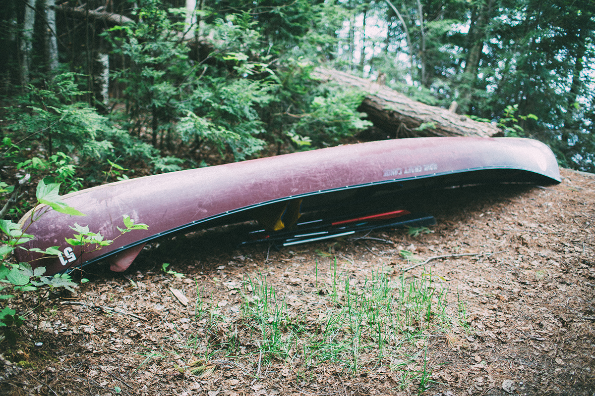 Algonquin Park Photographer