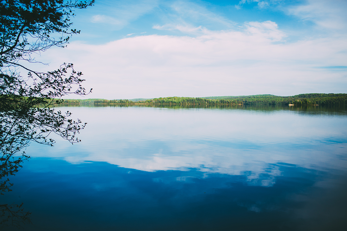 Algonquin Park Photographer