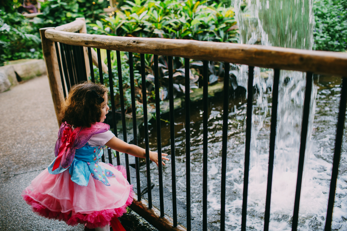 Burlington child photographer