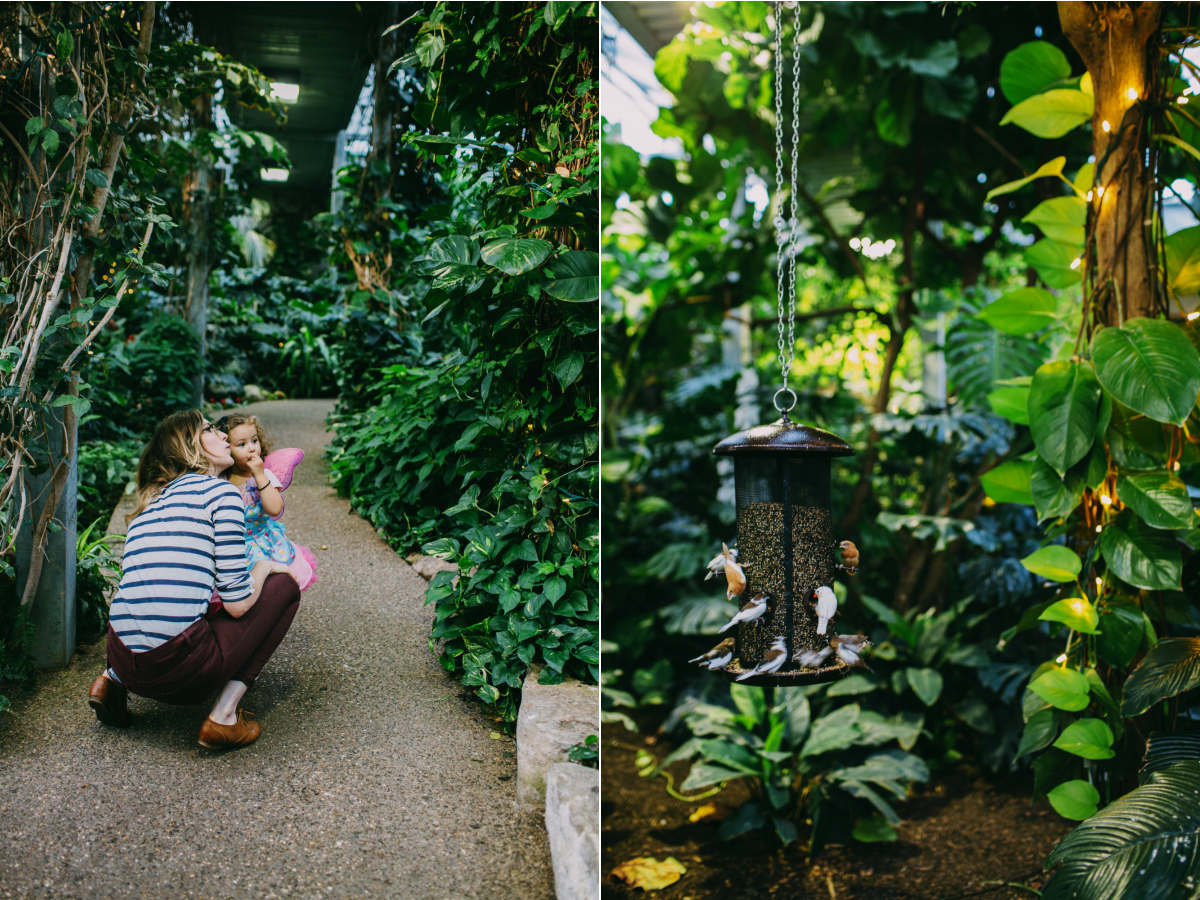 Oakville child photographer