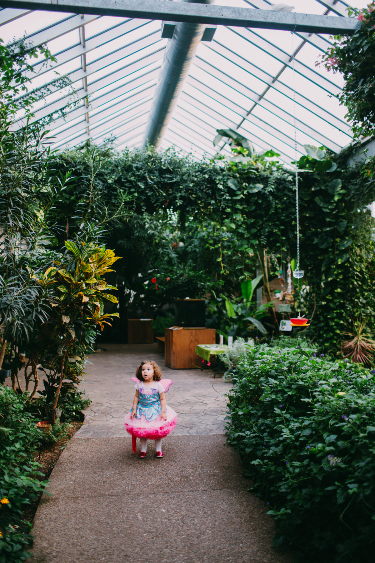 Toronto family photographer